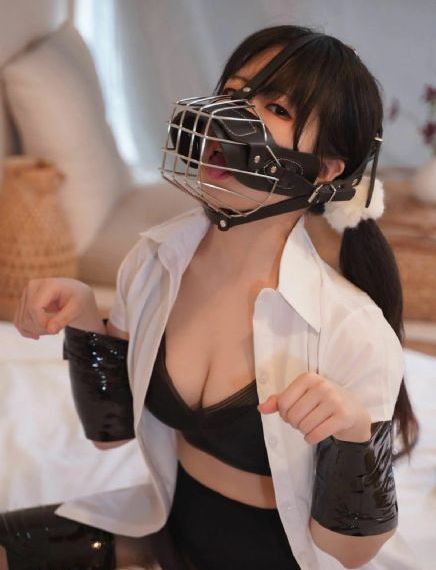 狐狸的第二季免费播放